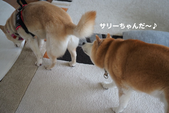 15日夕ブログ４