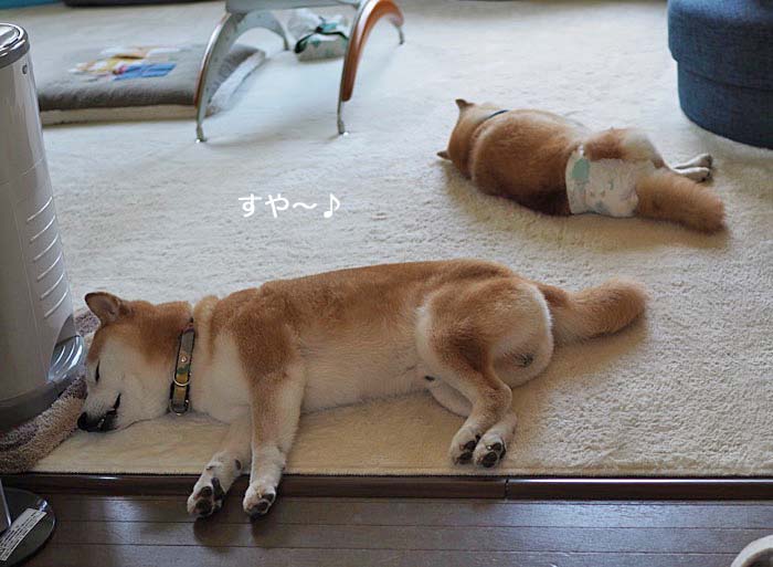 7日ブログ８