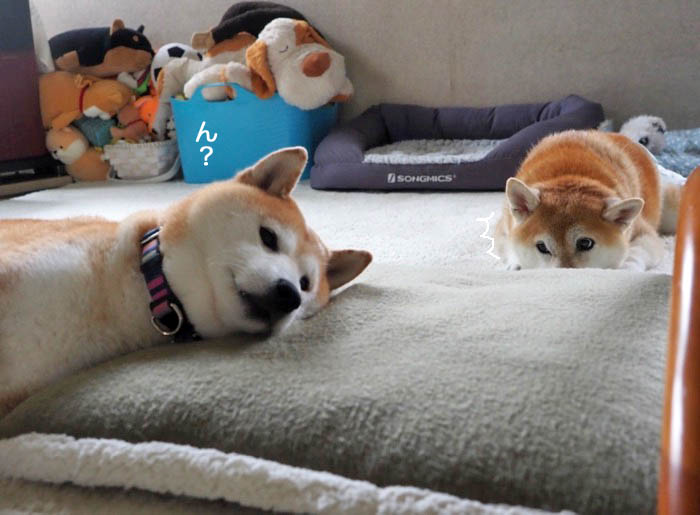 10日ブログ４