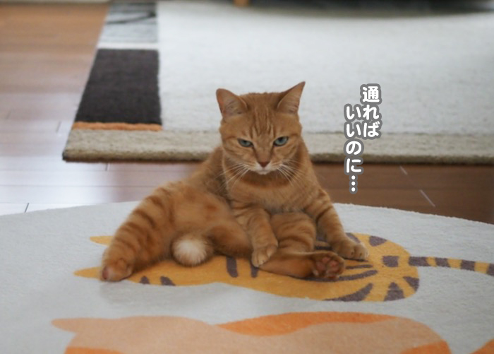 19日ブログ６