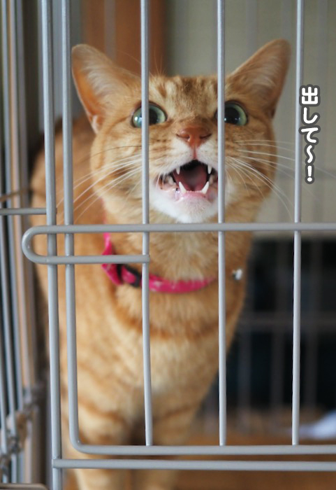 15日ブログ５