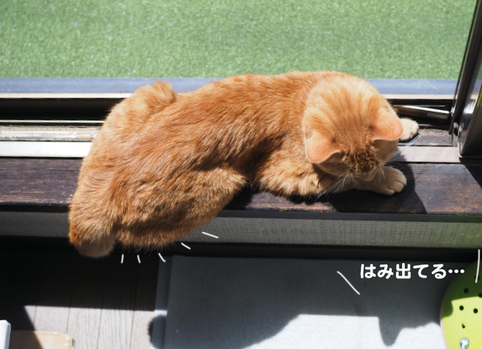3日ブログ４