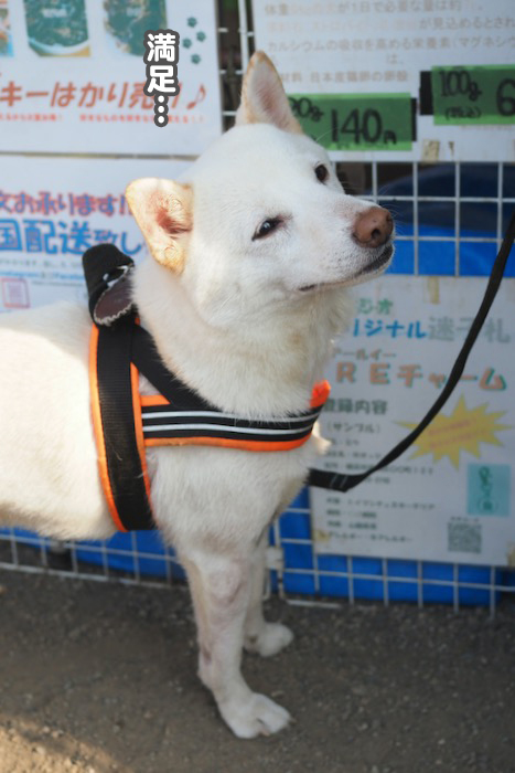 5日夕ブログ１０