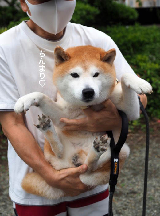 5日ブログ１０