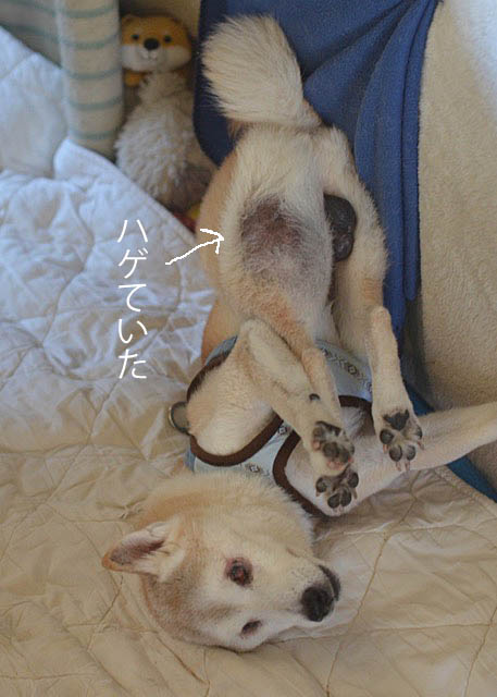 23日ブログ2