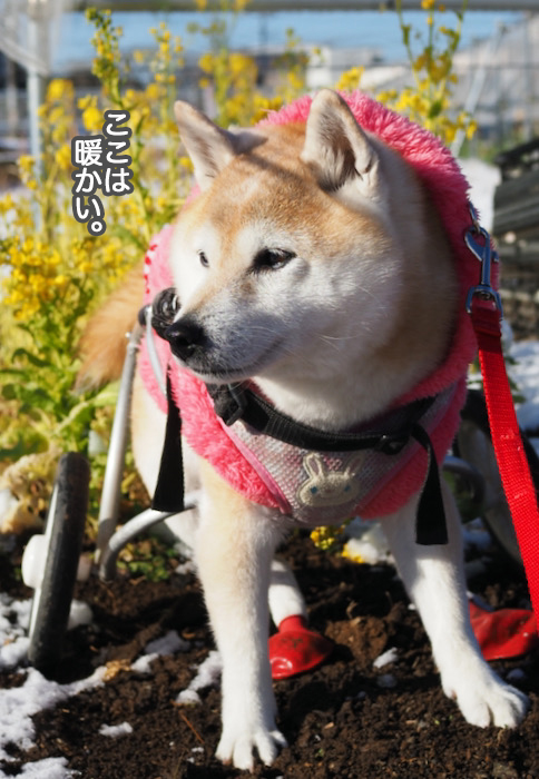 7日夜ブログ２