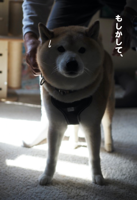 29日ブログ２