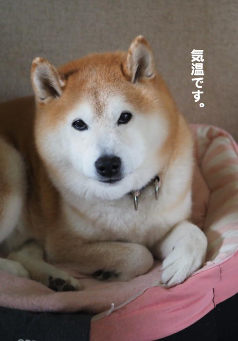 13日ブログ4