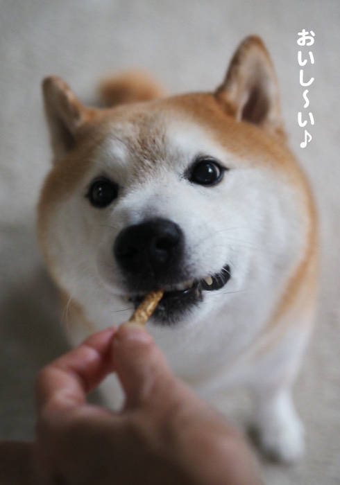 7日夕ブログ７