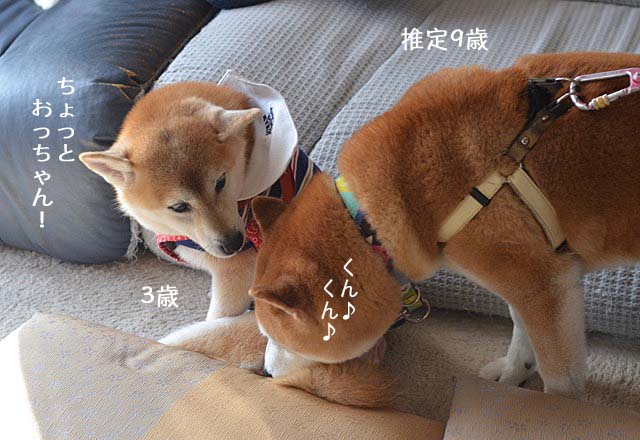 29日ブログ5