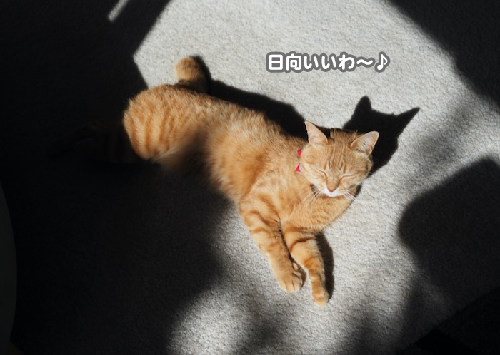23日ブログ２