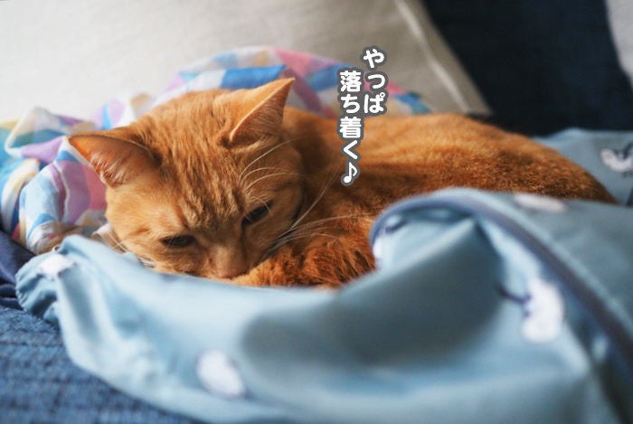 6日夕ブログ７