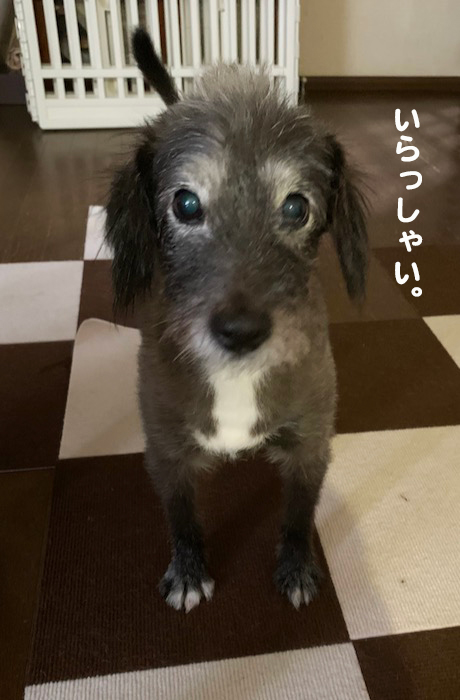1日夕ブログ２