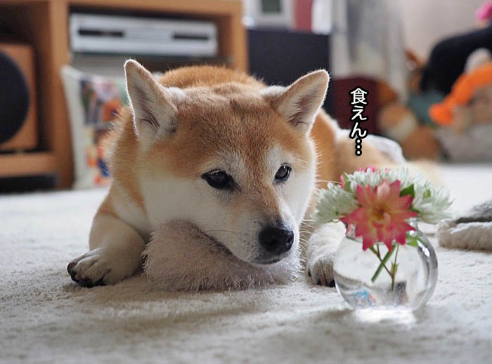 5日夜ブログ４