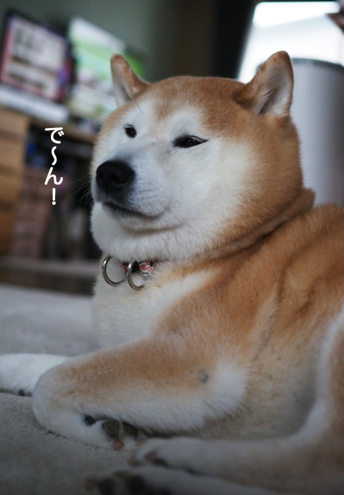 24日ブログ６