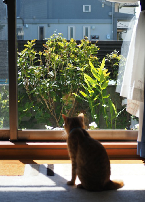 10日ブログ1