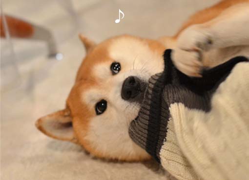 28日ブログ8.jpg