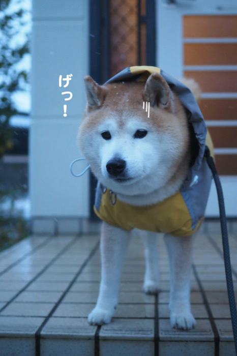 5日夕ブログ２