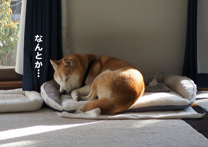 26日夕ブログ１０