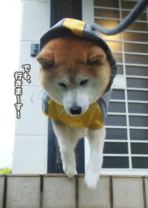 10日午後ブログ５