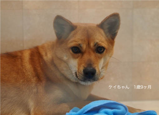 30日ブログ4.jpg