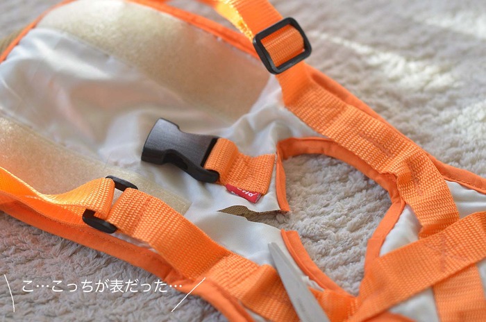 11日ブログ9