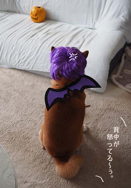 31日ブログ9