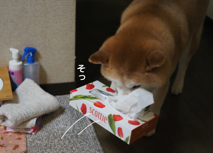2日夜ブログ２