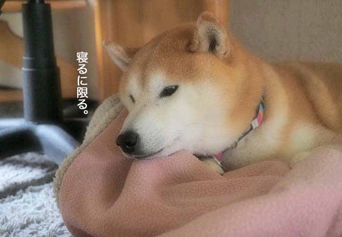 8日ブログ２