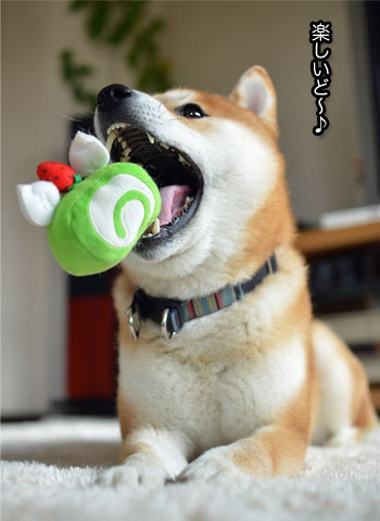 30日ブログ9.jpg