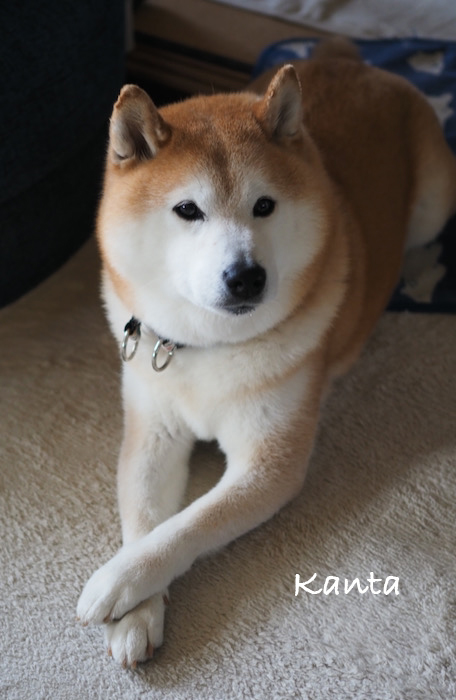 9日ブログ３
