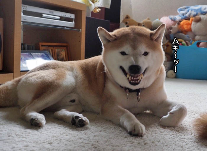 17日ブログ５