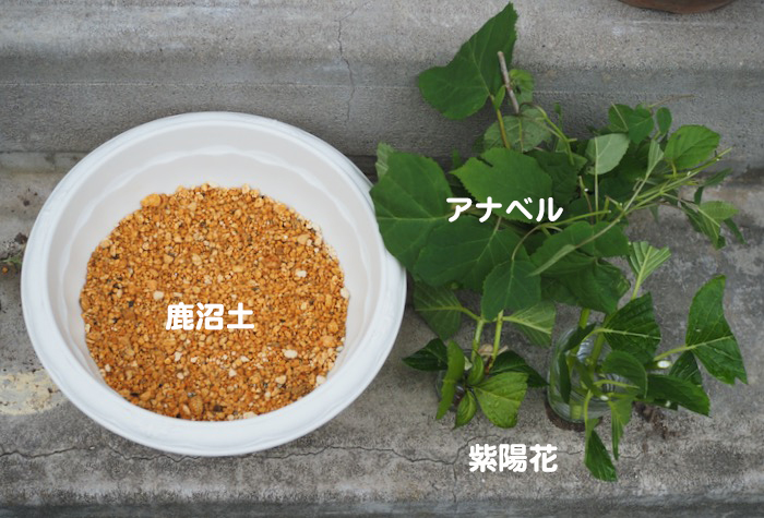 13日夕ブログ１１