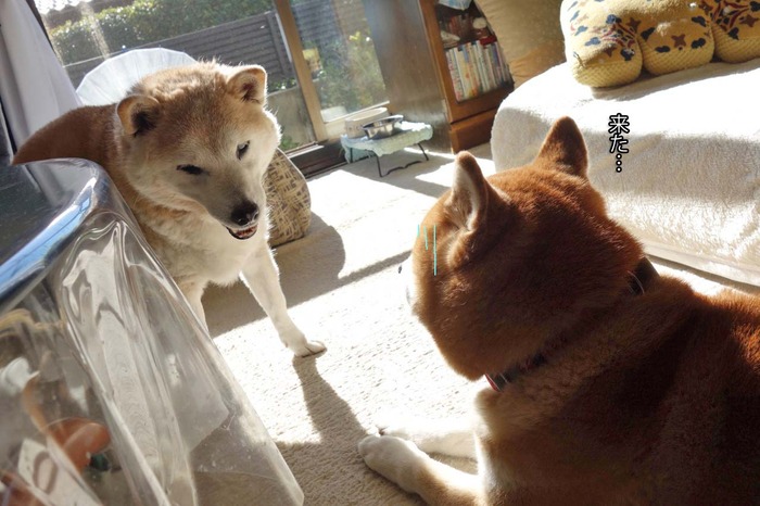 16日ブログ9