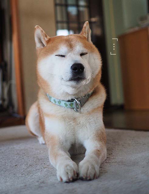 31日ブログ５
