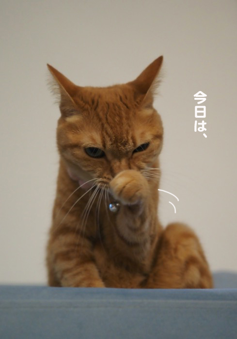 2日夕ブログ２