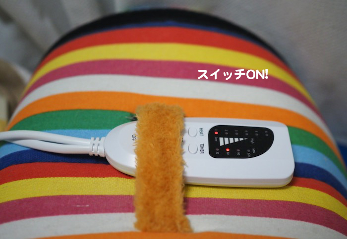 21日夕ブログ４