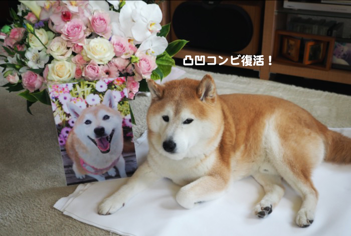 13日夕ブログ１６