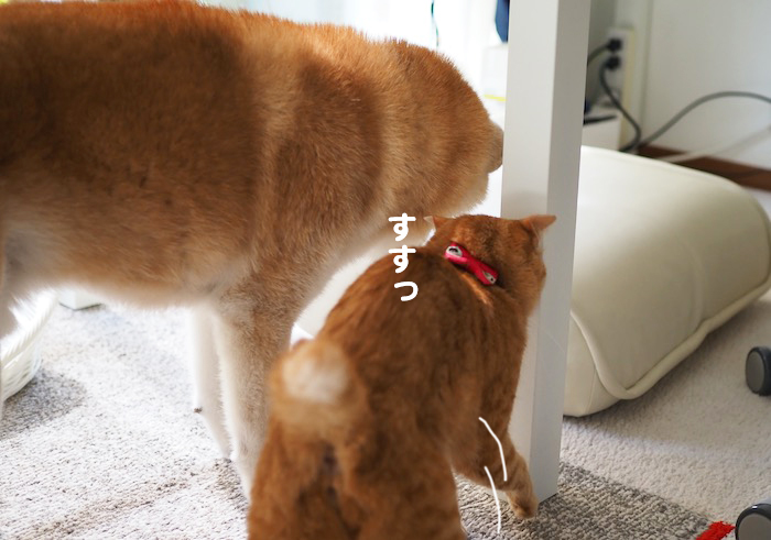 6日夕ブログ２