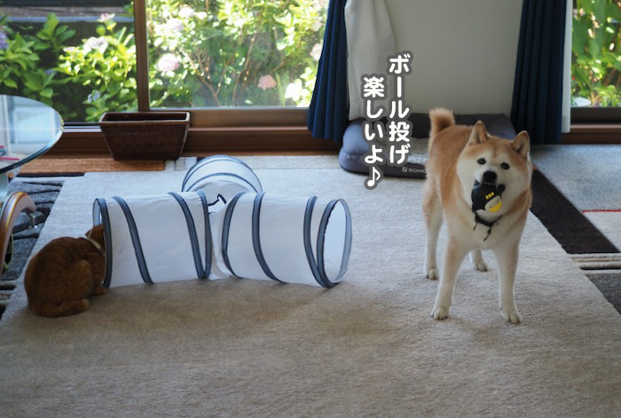 2日夕ブログ４