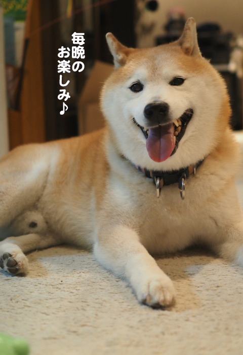13日夕ブログ４
