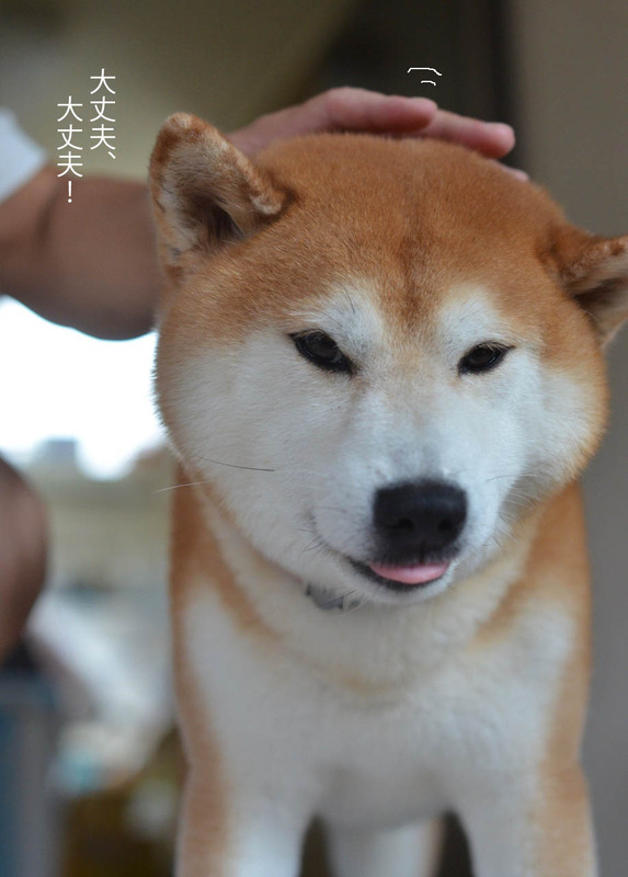 11日ブログ11