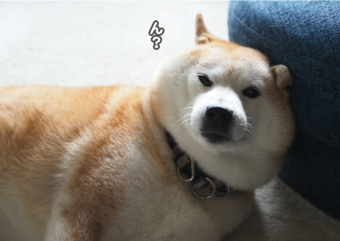 28日ブログ1