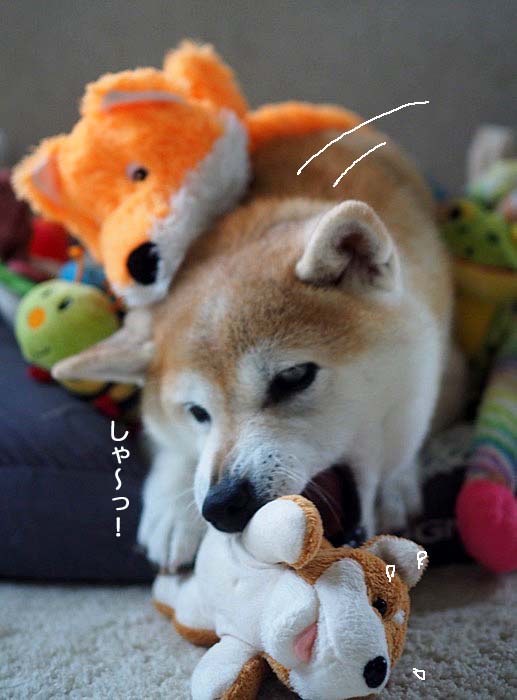 15日夜ブログ６