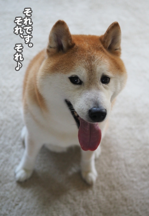 3日ブログ３