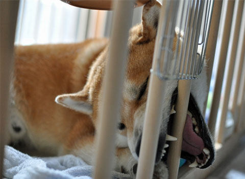 30日ブログ7.jpg