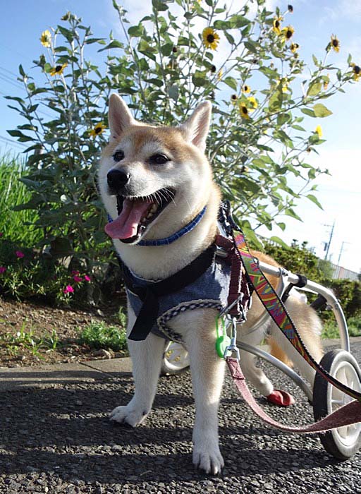 9日朝ブログ６
