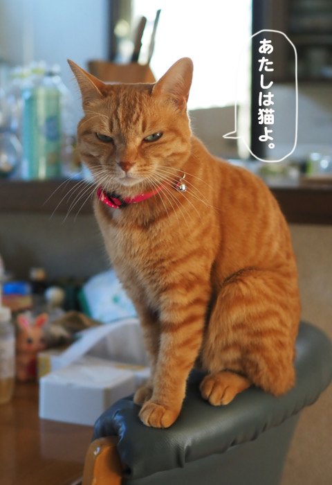 1日夕ブログ５