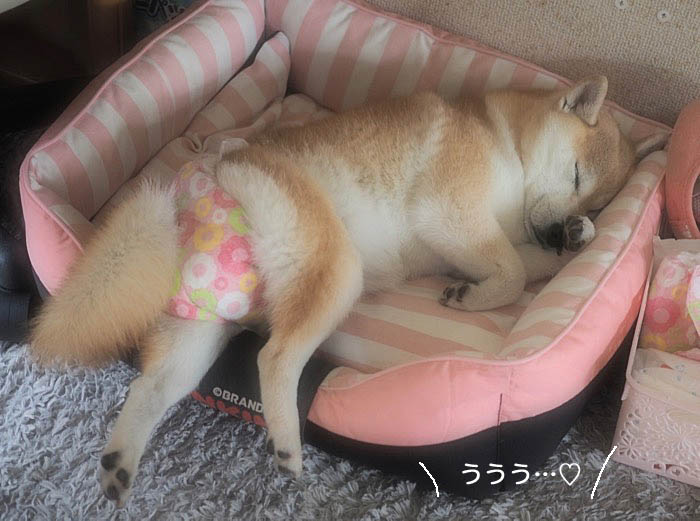 6日夜ブログ２