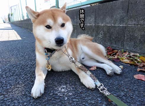 21日ブログ4.jpg